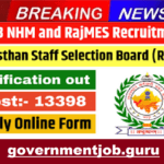 RSSB NHM and RajMES Recruitment 2025